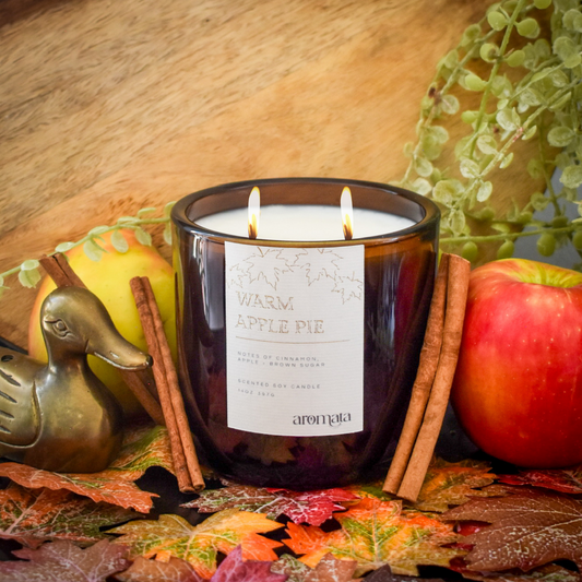 Warm Apple Pie